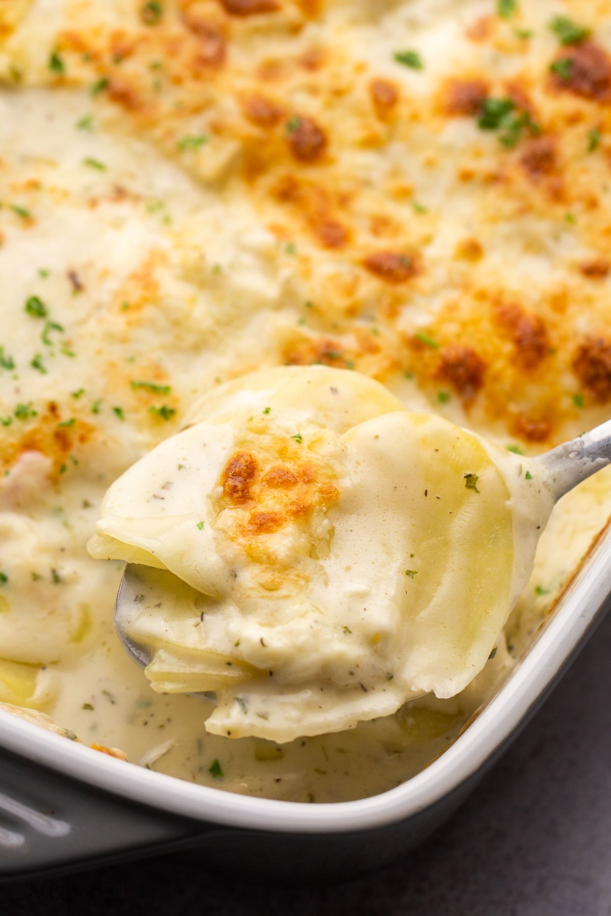 metal spoon scooping scalloped potatoes out of baking dish.