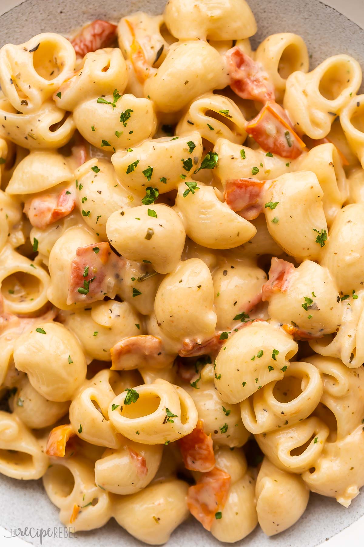 close up image of sun dried tomato pasta made with shellbows