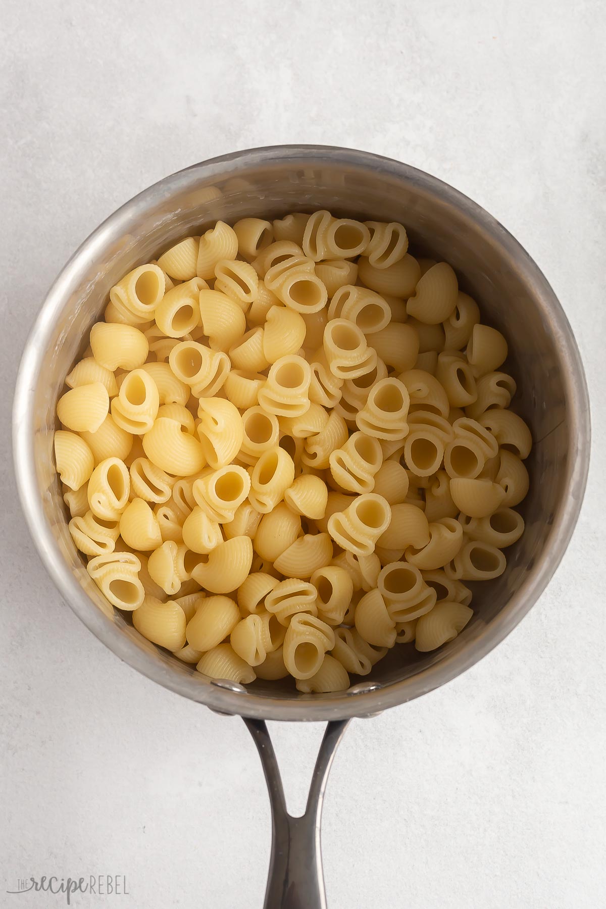 cooked shellbows or lumaconi pasta in pot