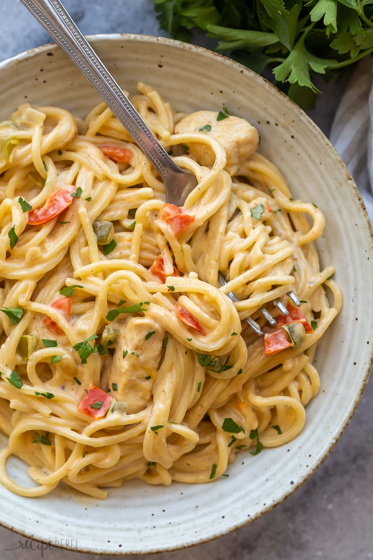 overhead image of chicken spaghetti with noodles twirled around fork.