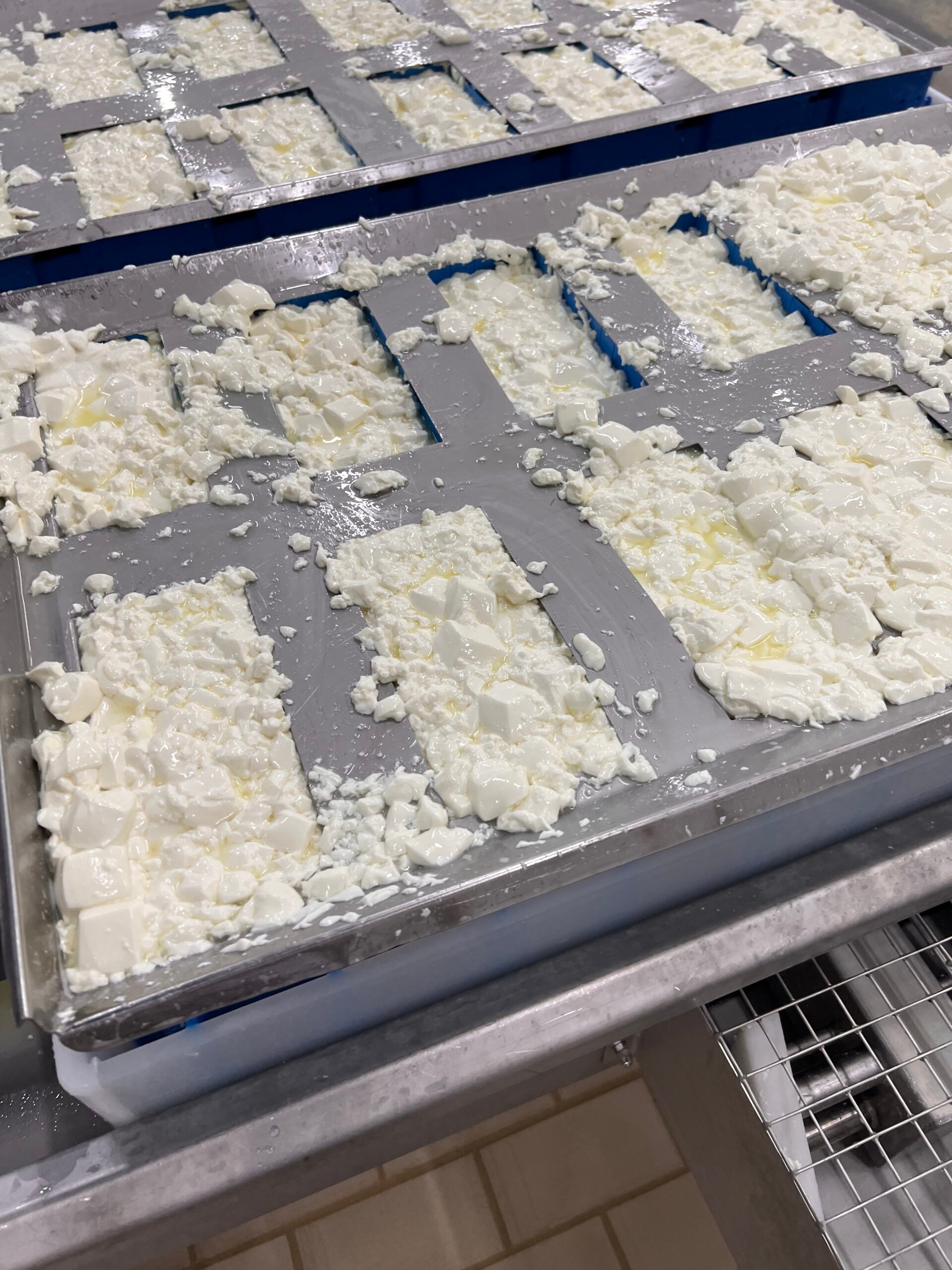 feta cheese curds before being pressed.