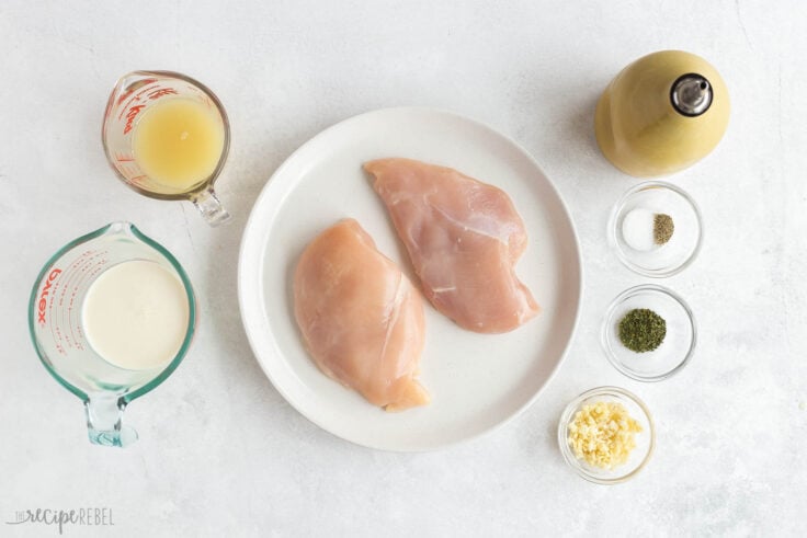 Creamy Garlic Chicken - The Recipe Rebel [VIDEO]