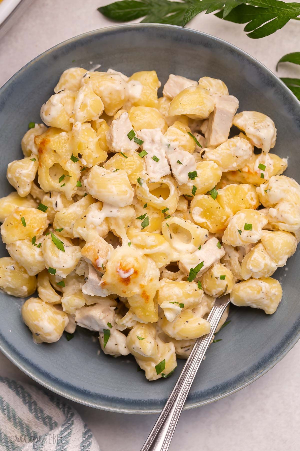 close up image of chicken alfredo bake pasta in blue bowl with fork.