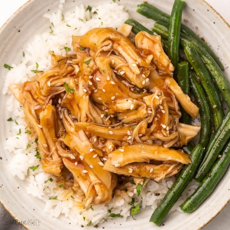 Crock Pot Honey Garlic Chicken The Recipe Rebel [VIDEO]