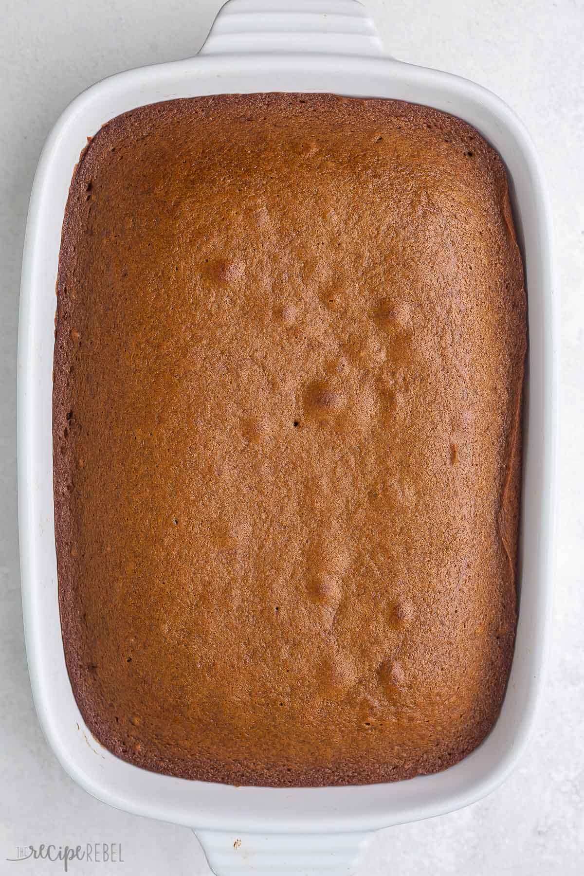 pan of baked gingerbread.