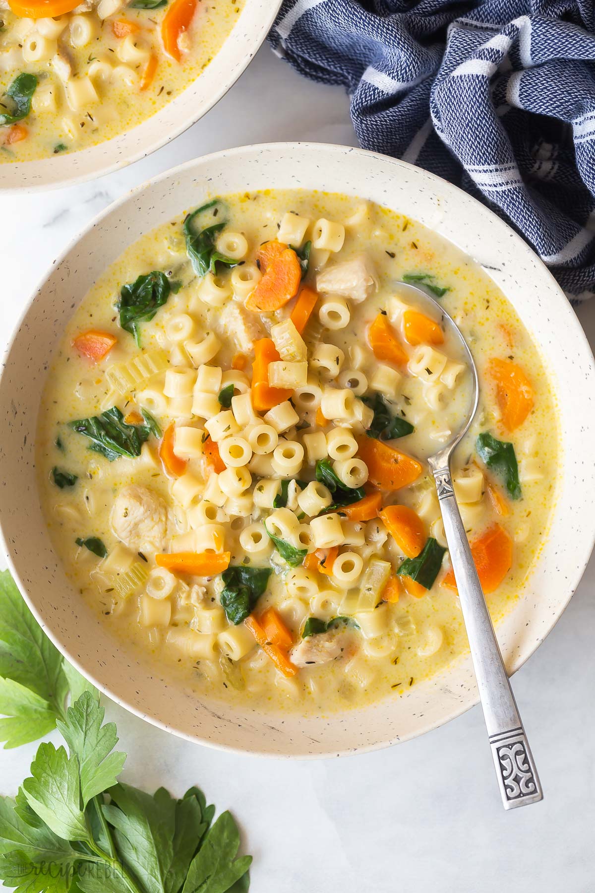 overhead image of creamy chicken noodle soup in white bowl with spoon.