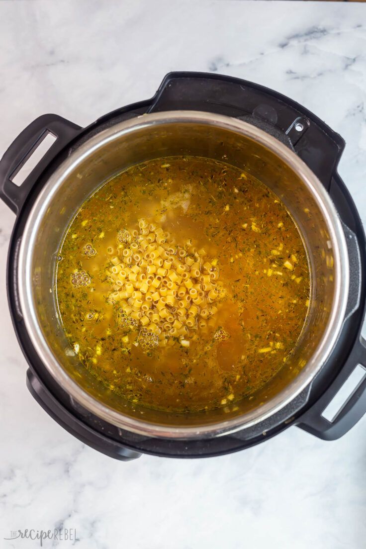 Creamy Instant Pot Chicken Noodle Soup - The Recipe Rebel