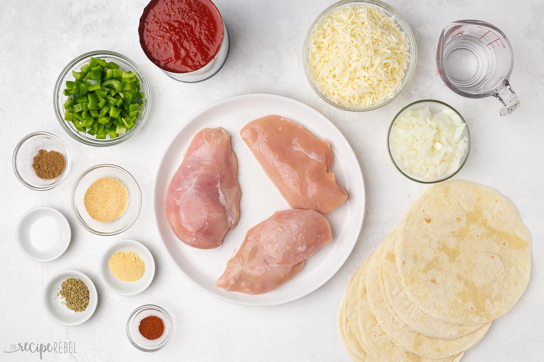 Top view of ingredients needed to make Chicken Enchilada Casserole. 