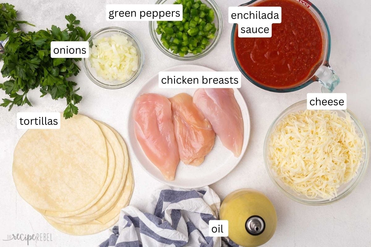 This Easy Chicken Enchiladas recipe is one we've used time and time again to make the BEST chicken enchiladas. Made with tender chicken cooked in enchilada sauce with onions and peppers, corn or flour tortillas and plenty of cheese. #dinner #recipe | easy dinner | chicken recipe | chicken dinner | chicken breast | shredded chicken | mexican recipes | mexican food | easy enchiladas overhead view of chicken enchiladas ingredients.