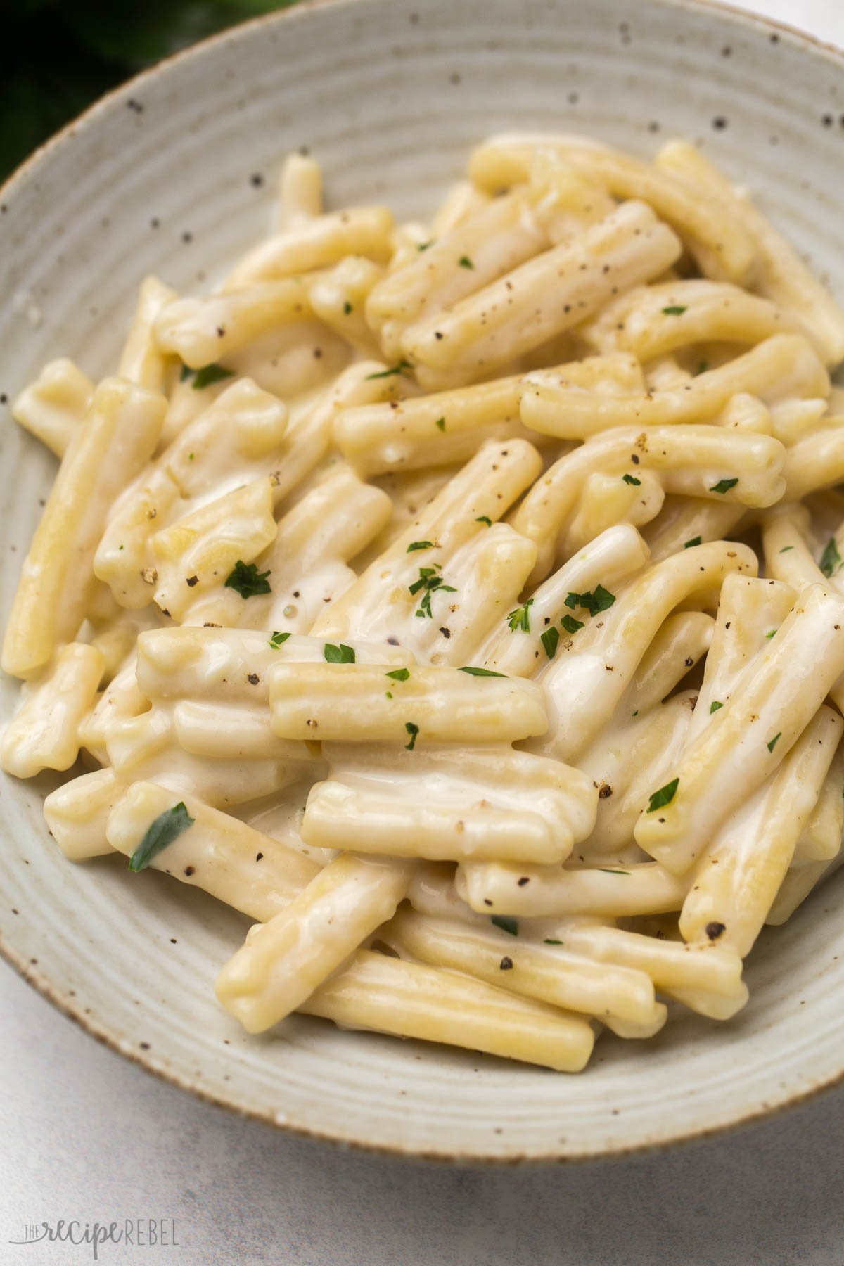 close up view of a plate of creamy garlic gemelli pasta with parsley sprinkled on top.