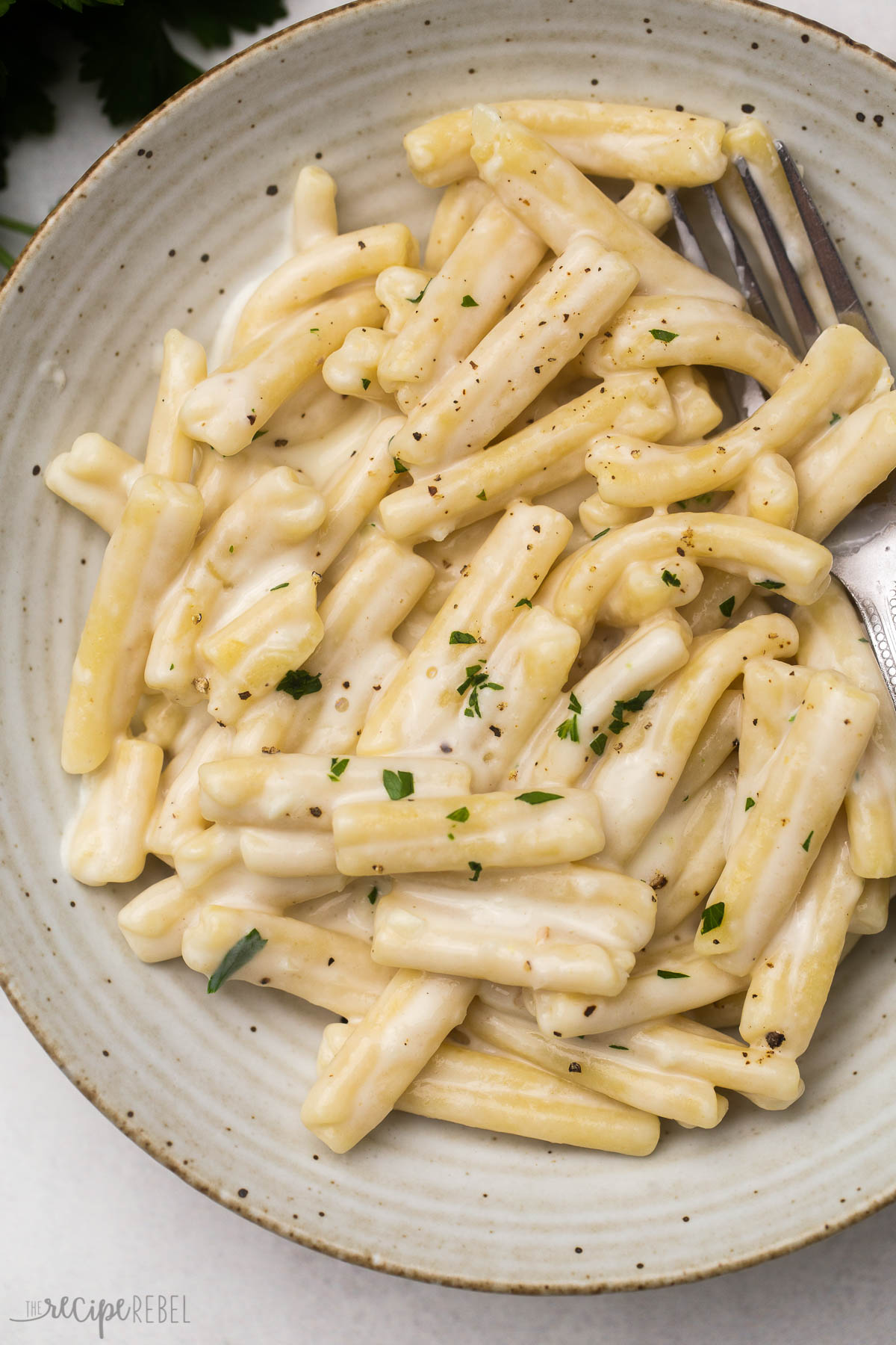 overhead shot of gemelli pasta on a plate with a fork.