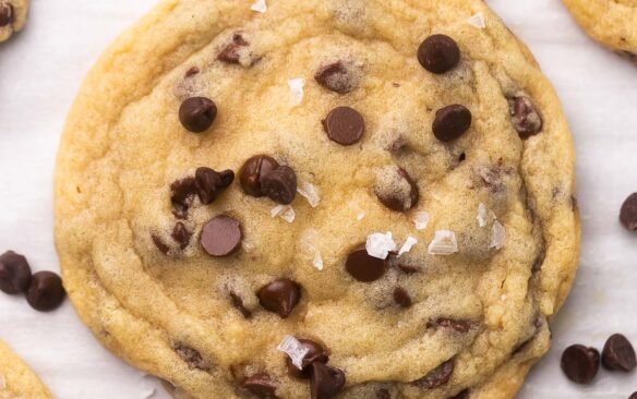close up of mom's chocolate chip cookie and chocolate chips.