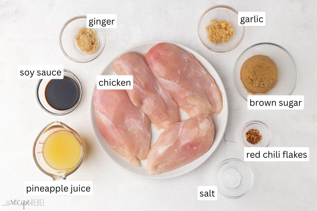 overhead view of hawaiinan chicken marinade ingredients.