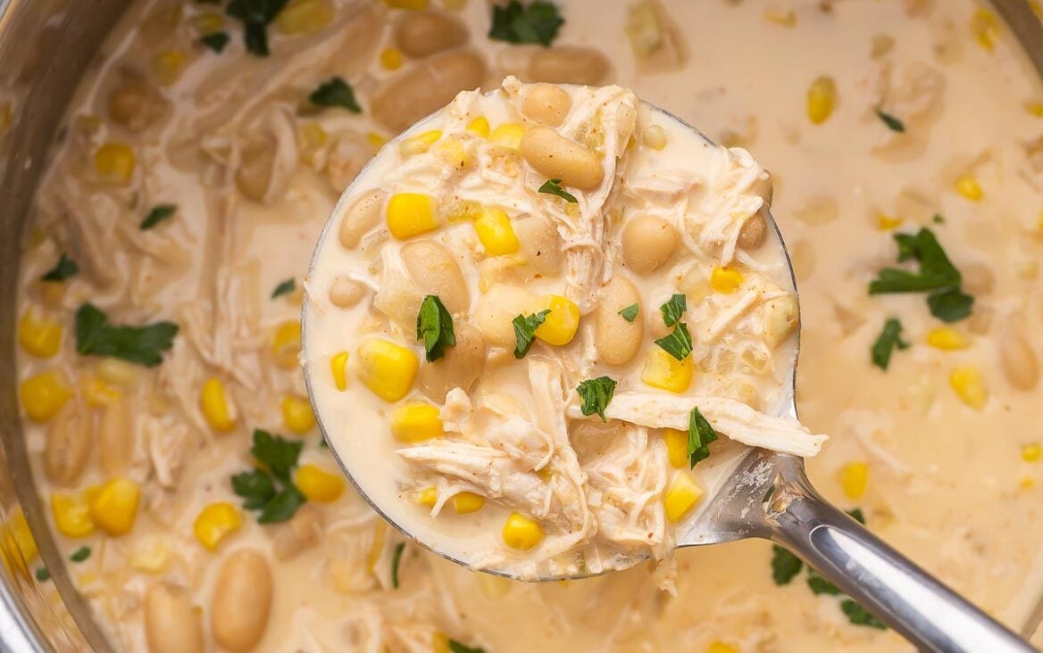 The Best Instant Pot Chicken Recipes | The Recipe Rebel
