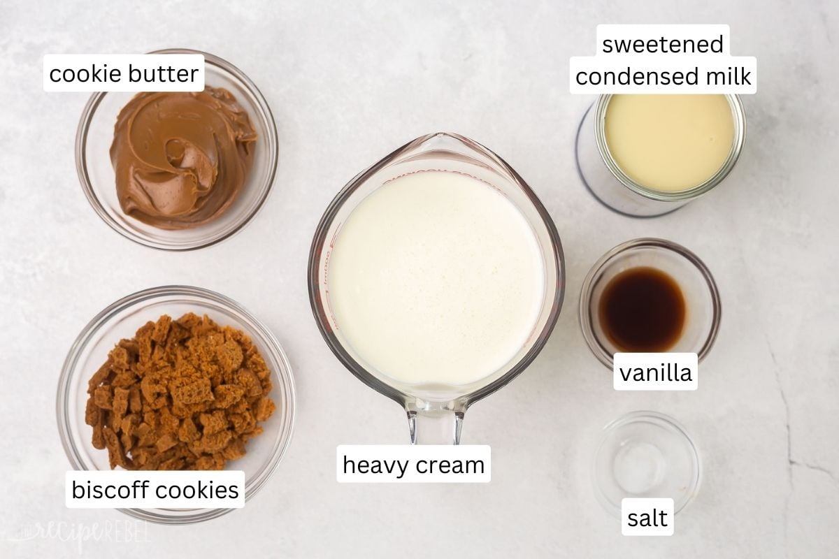 Top view of ingredients needed to make no churn Biscoff ice cream in small bowls on a gray surface. 