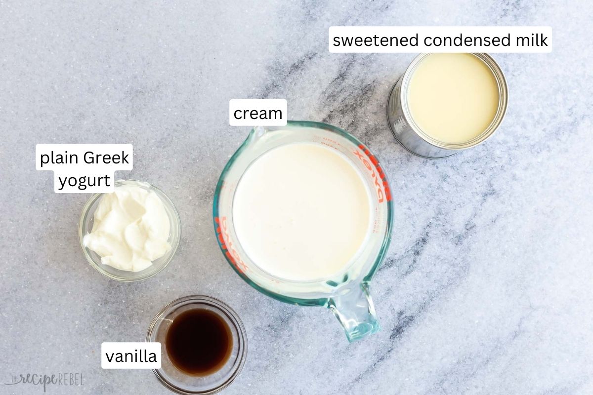 No Churn Ice Cream The Recipe Rebel
