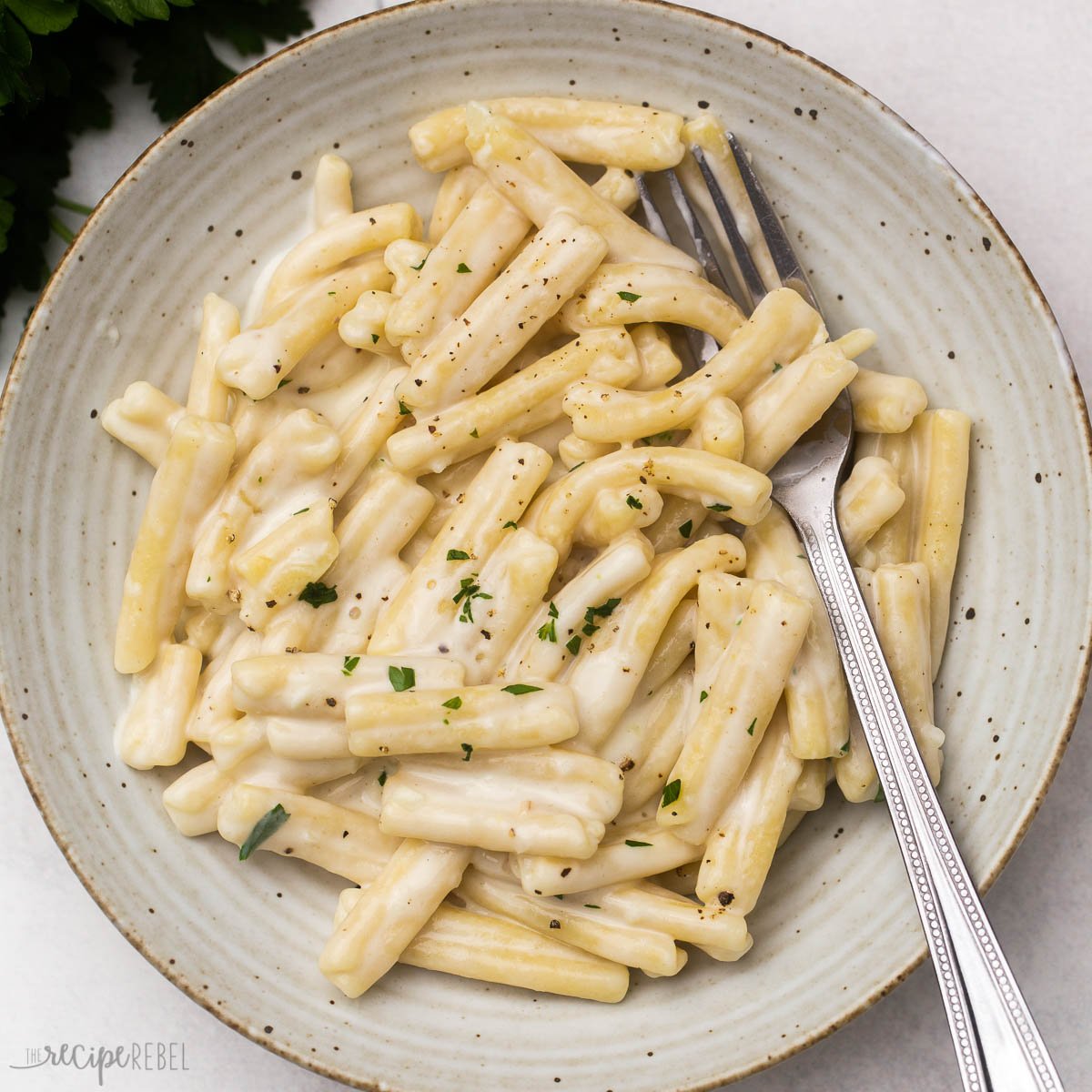 Creamy Gemelli Pasta recipe - The Recipe Rebel