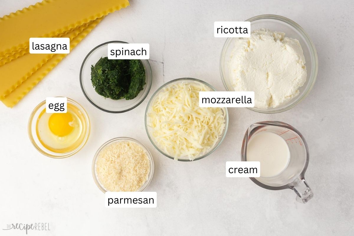 overhead shot of ingredients for lasagna roll ups on grey surface.