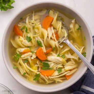 close up of spoon and bowl of chicken noodle soup.