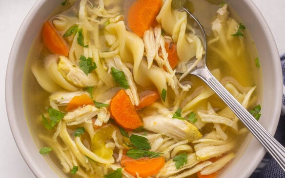 close up of spoon and bowl of chicken noodle soup.