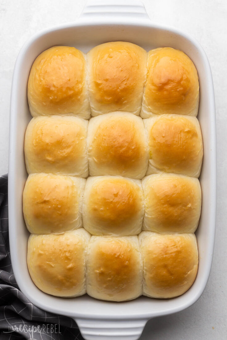 Homemade Dinner Rolls Recipe The Recipe Rebel