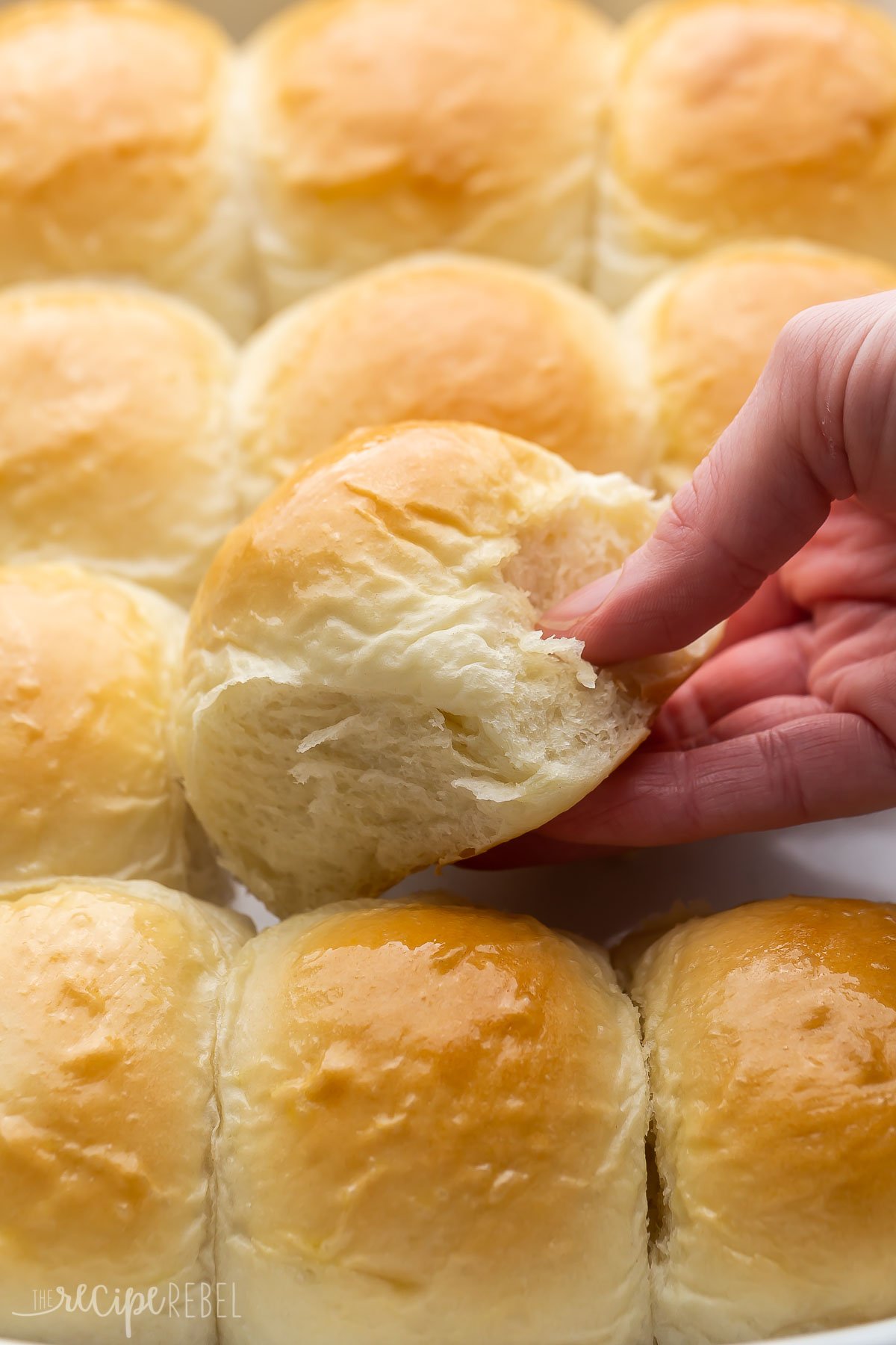 hand pulling a homemade dinner roll out of pan.