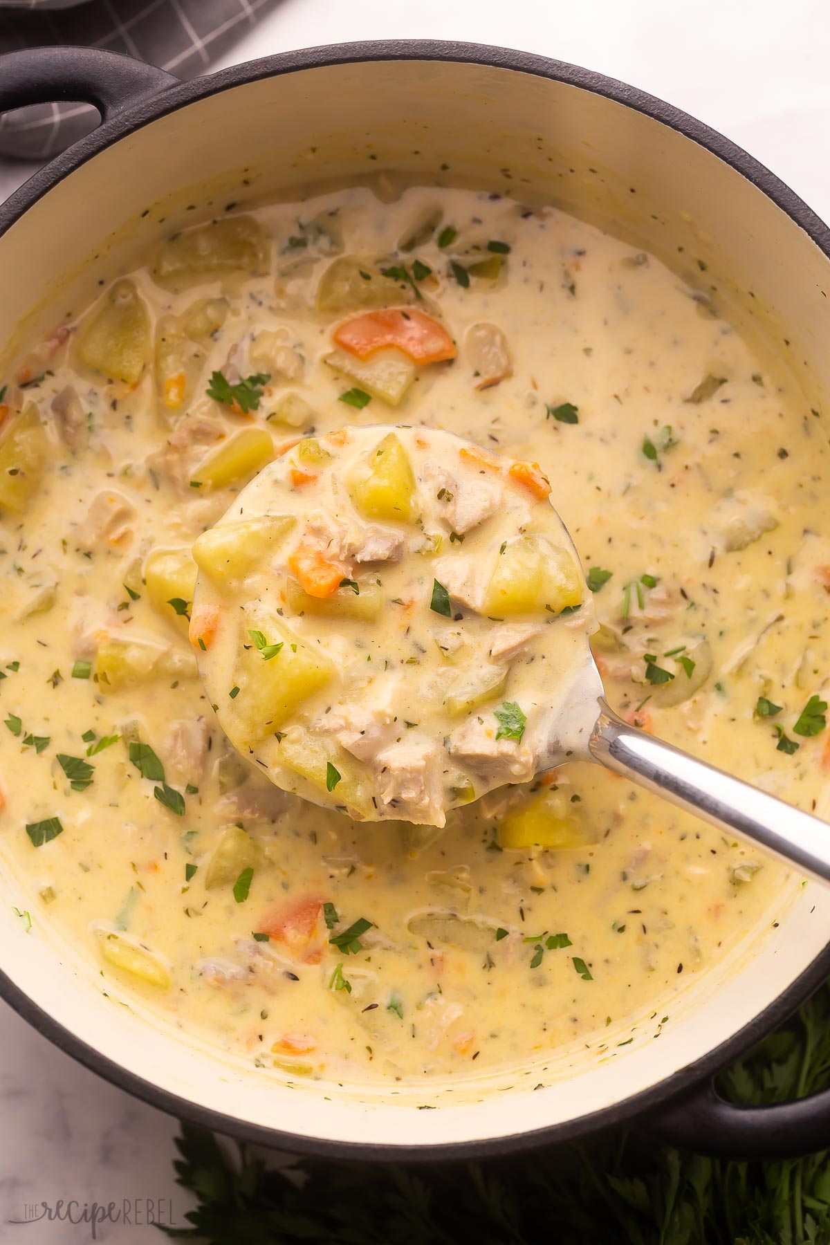 steel ladle scooping leftover turkey soup out of pot.