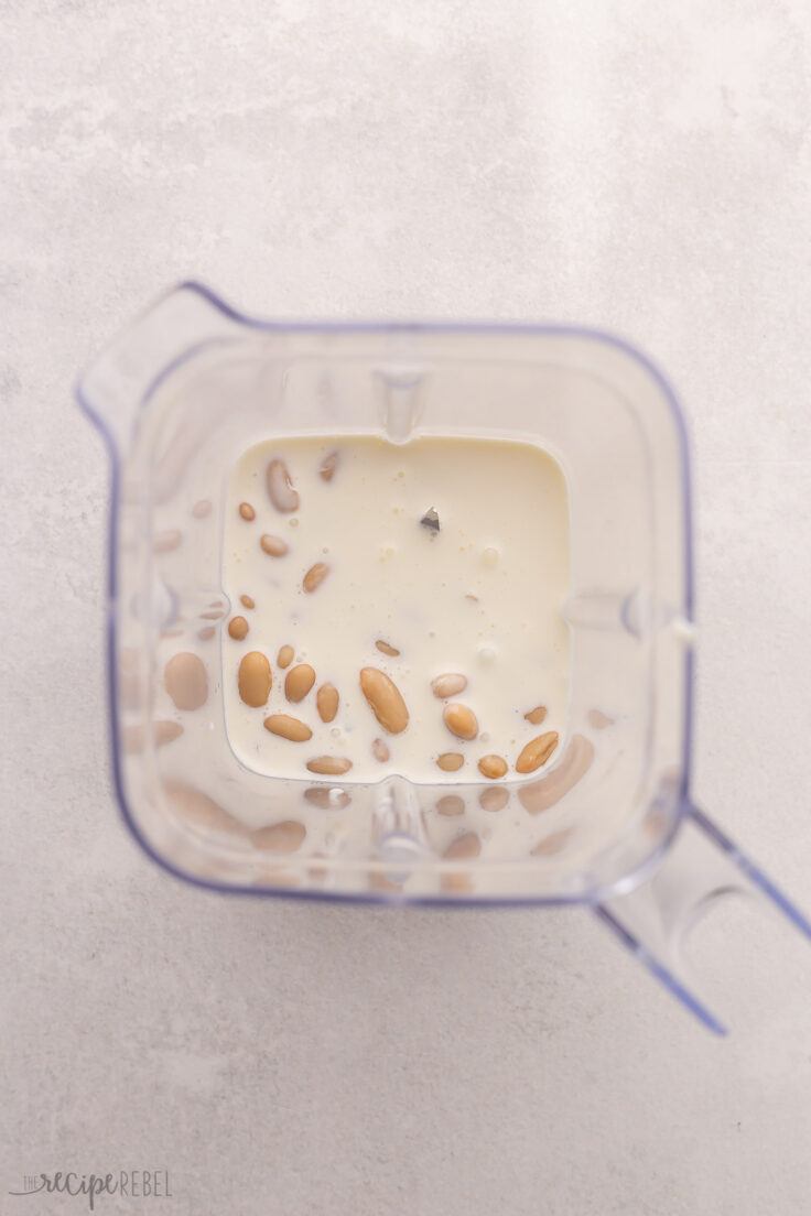 cream and beans in unmixed in blender canister on grey surface.