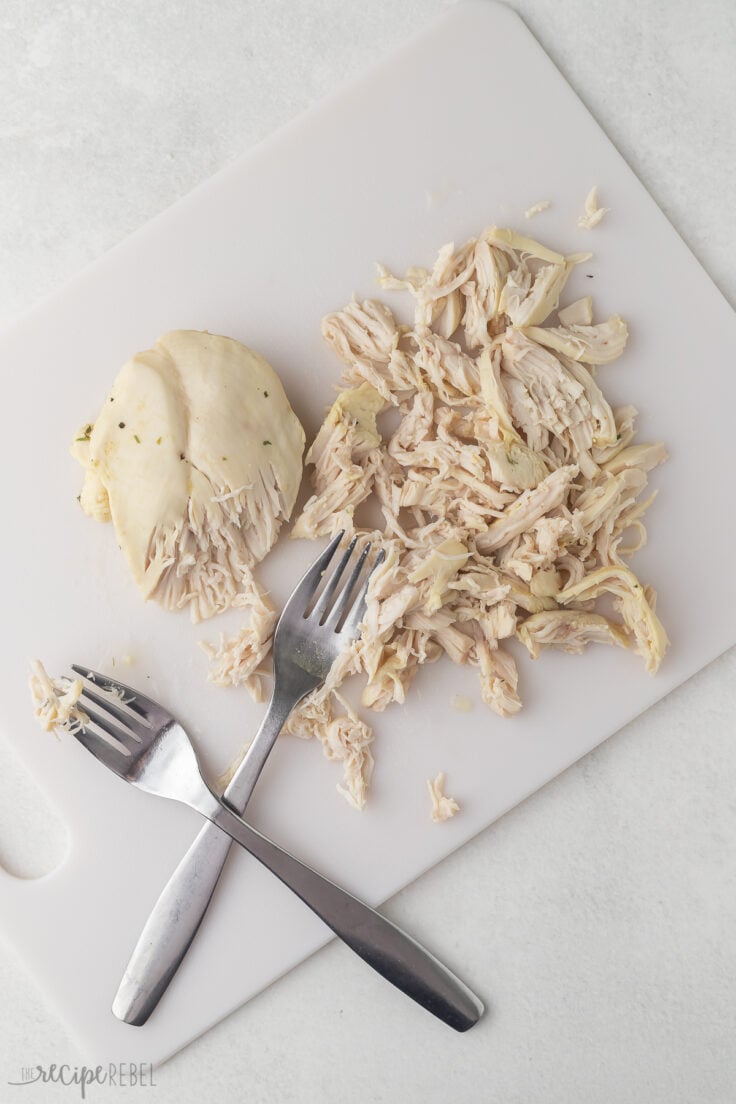 cooked chicken breast on white cutting board partially shredded with forks.