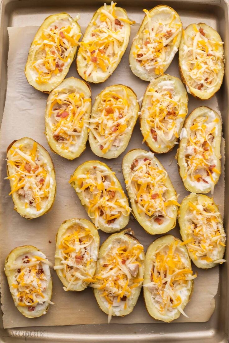 potato skins on a pan filled with chicken bacon alfredo and cheese.