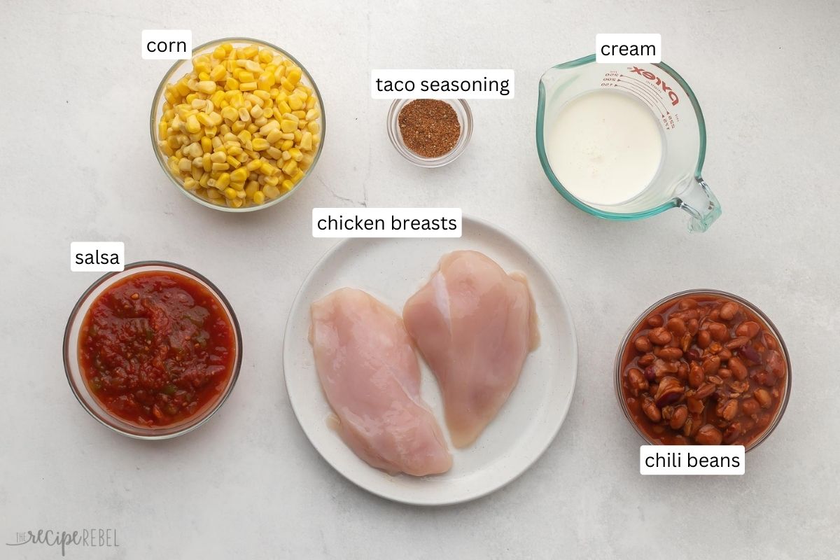 individual ingredients for crockpot chicken taco soup on grey surface.