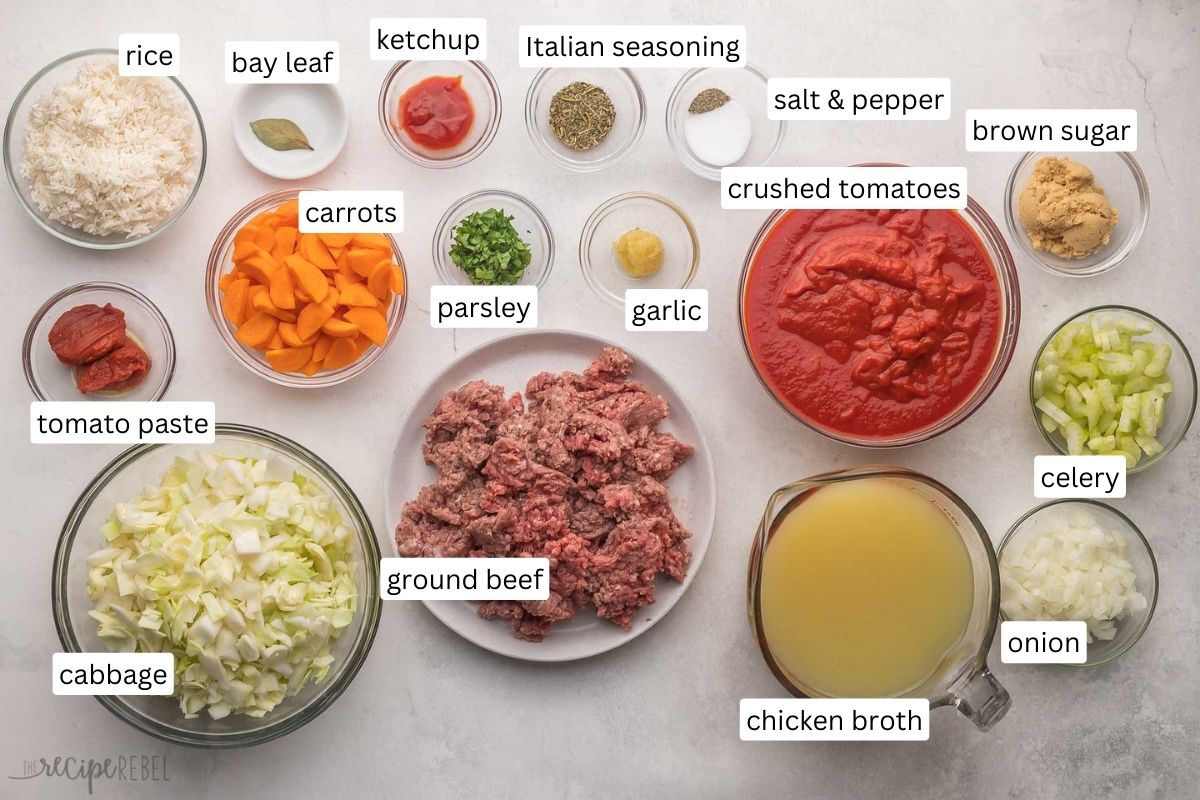 ingredients needed for cabbage roll soup.