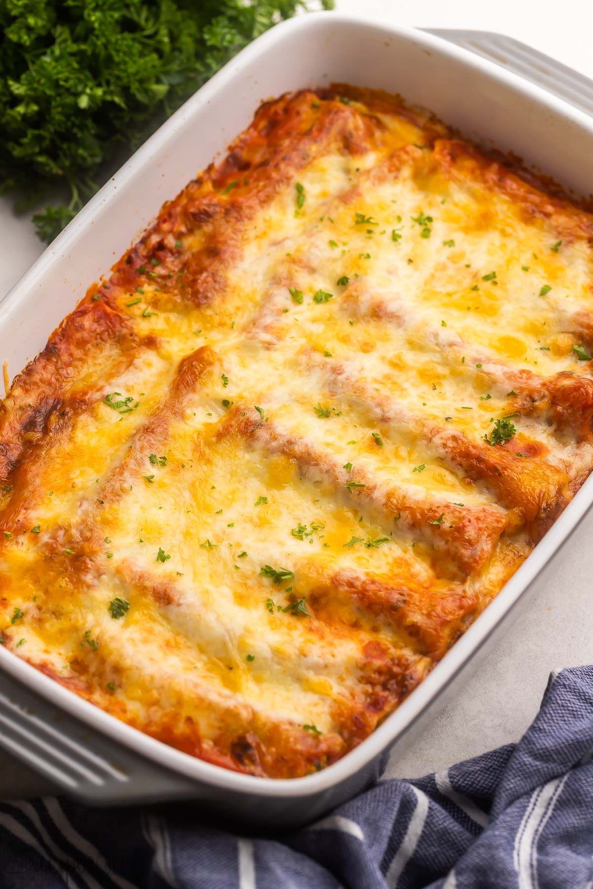 Cheese Canneloni is an easy, cheesy vegetarian dinner that takes just 15 minutes to prepare. Cannelloni pasta is stuffed with a flavorful ricotta and Parmesan cheese filling, topped with marinara and Mozzarella, and baked until hot and bubbly! #pasta #recipe #dinner | dinner ideas | dinner recipe | pasta recipe | vegetarian | meatless meals | ricotta | stuffed pasta large baking dish full of cheese cannelloni.