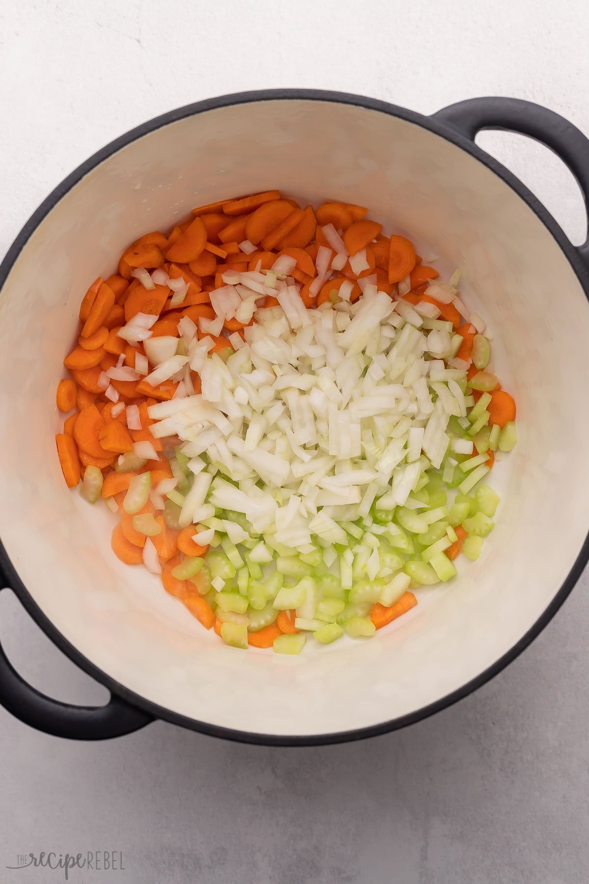 Easy Chicken Vegetable Soup [VIDEO] - The Recipe Rebel
