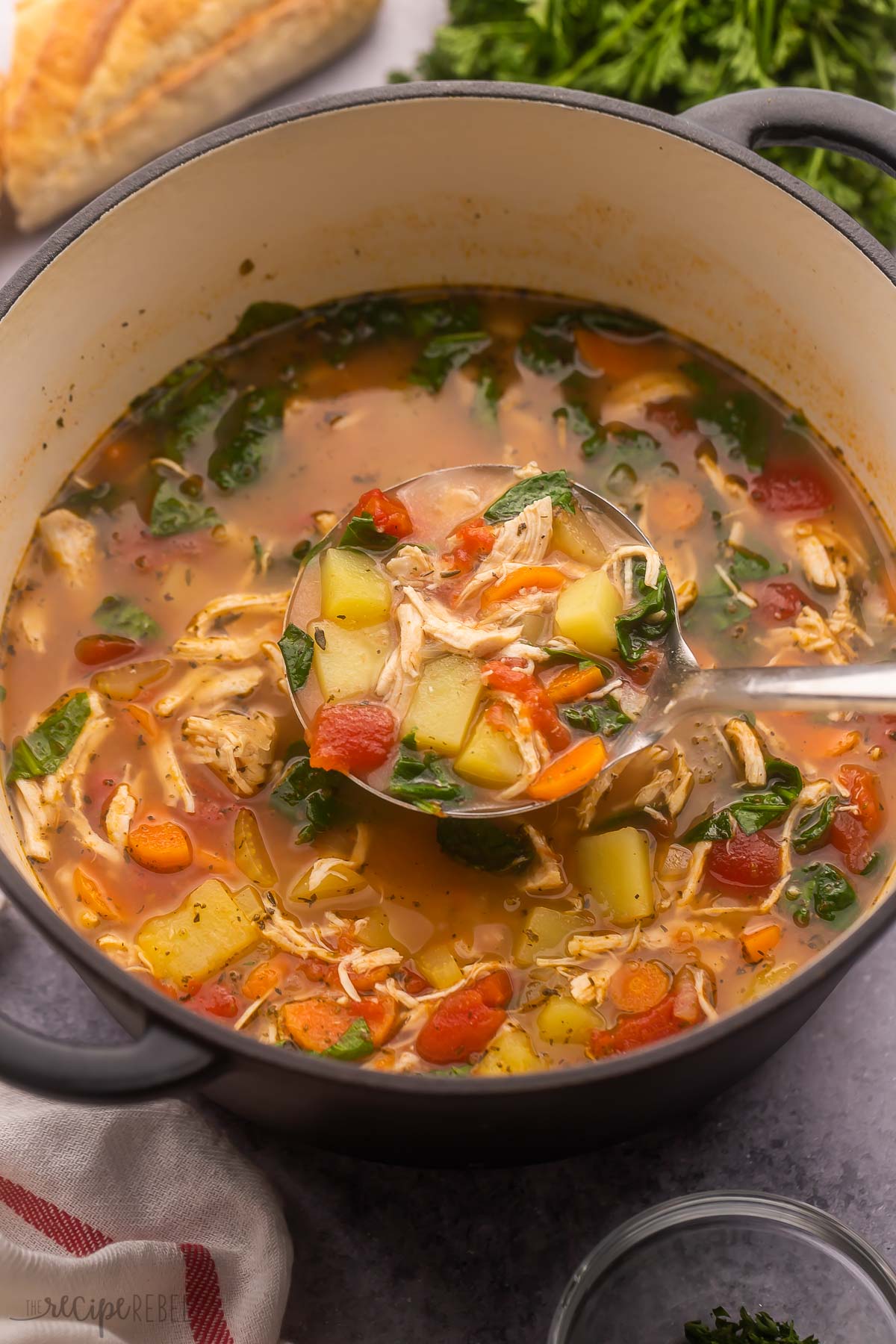 steel ladle scooping chicken vegetable soup out of pot.