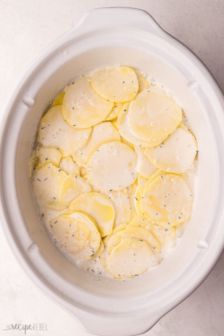 white crockpot filled with sliced potatoes and creamy sauce.
