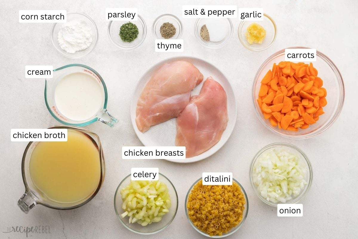 ingredients needed for creamy chicken noodle soup in bowls and plate.