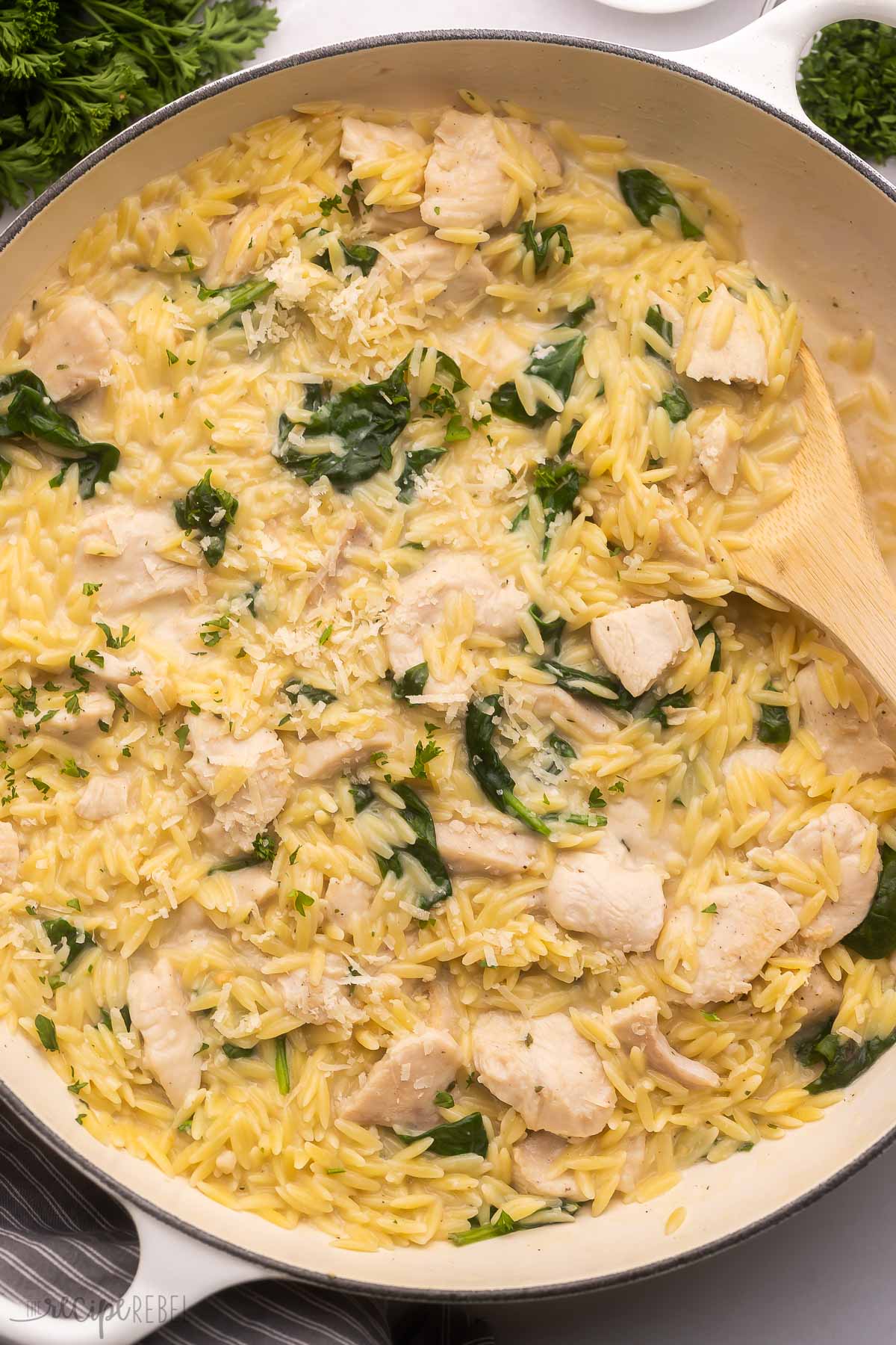 creamy chicken orzo in a white pan topped with parmesan.
