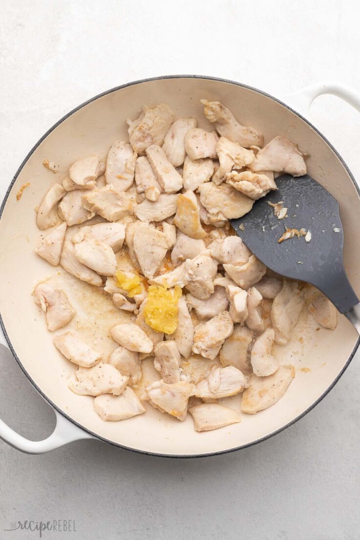 white pan filled with cooked chicken, spices, and spatula.