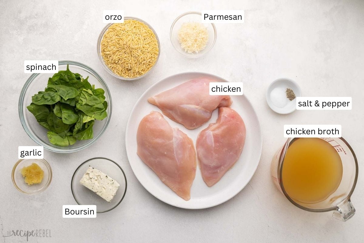 ingredients needed for one pan creamy chicken orzo in bowls and plate.