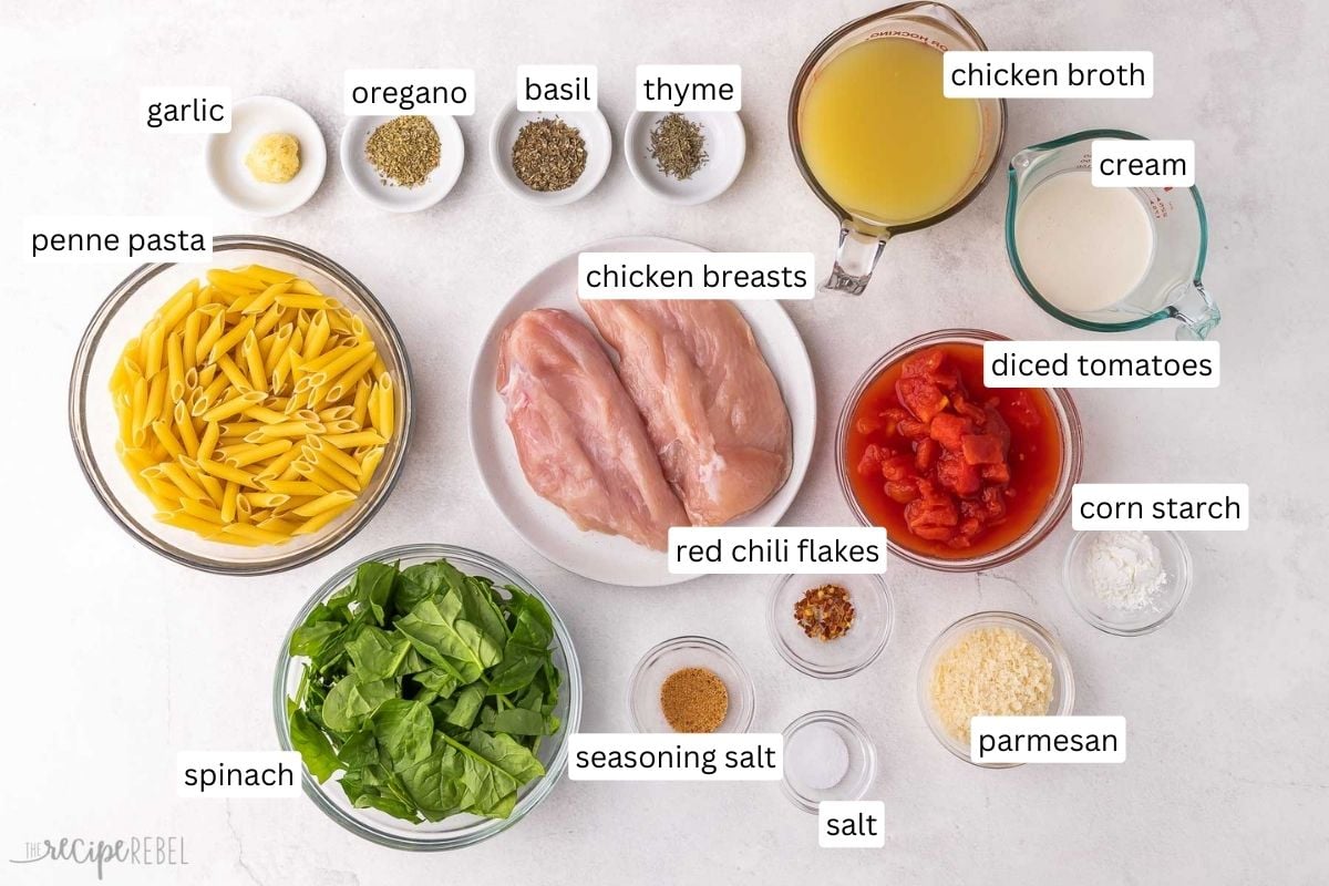 ingredients needed for chicken penne pasta in bowls and plate.
