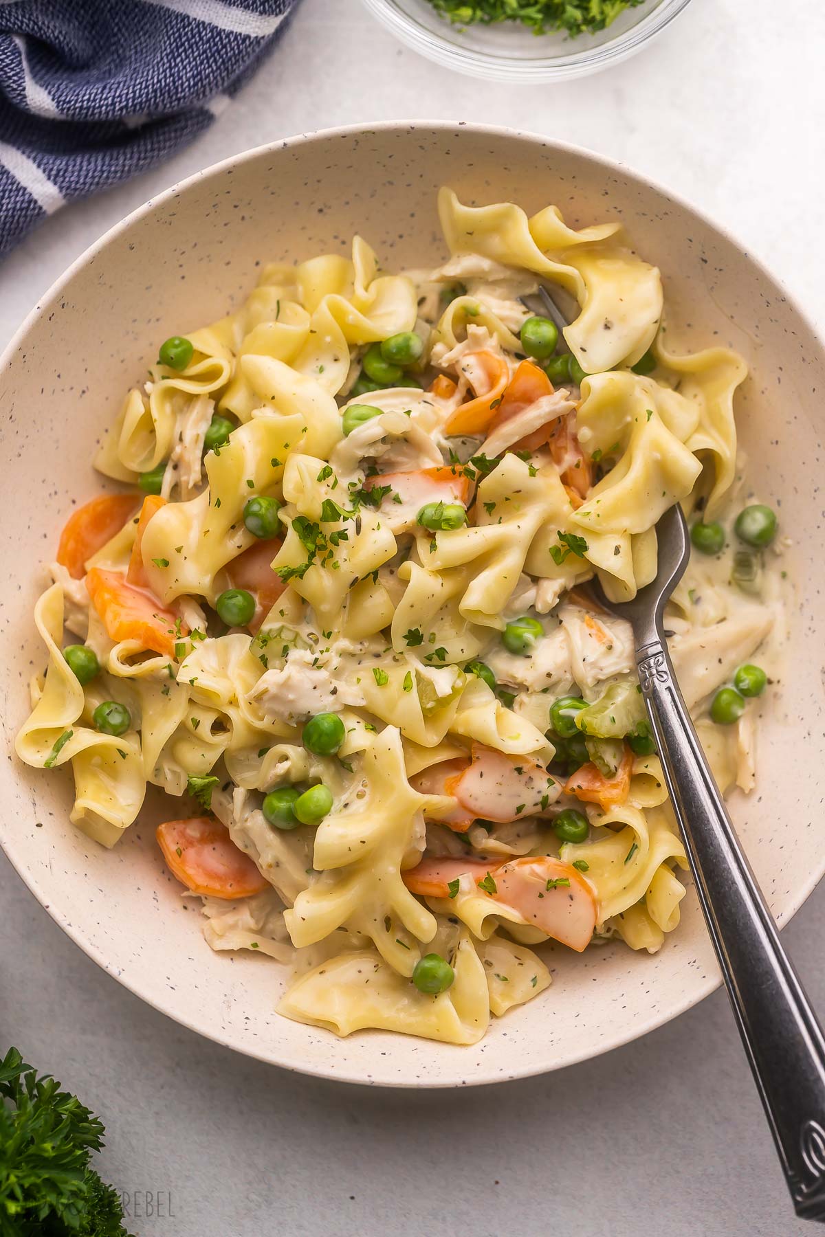 large bowl filled with a fork and chicken and noodles.