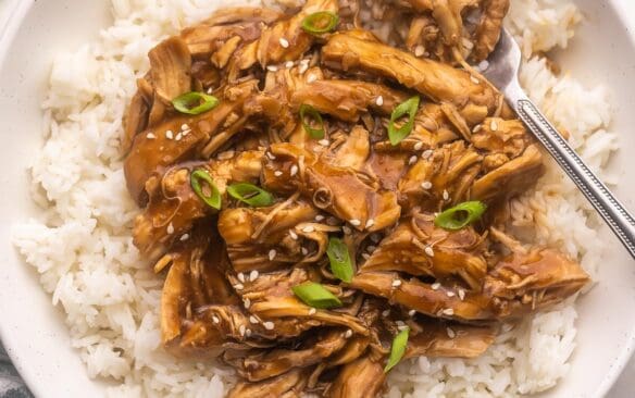 teriyaki chicken on rice topped with seasame seeds.