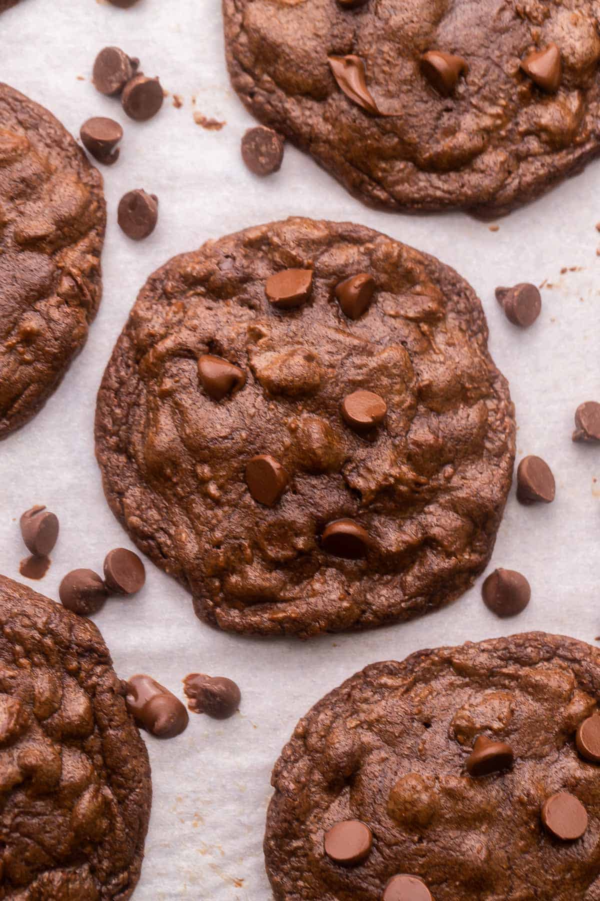 close up of a double chocolate chip cookie with chocolate chips around it.