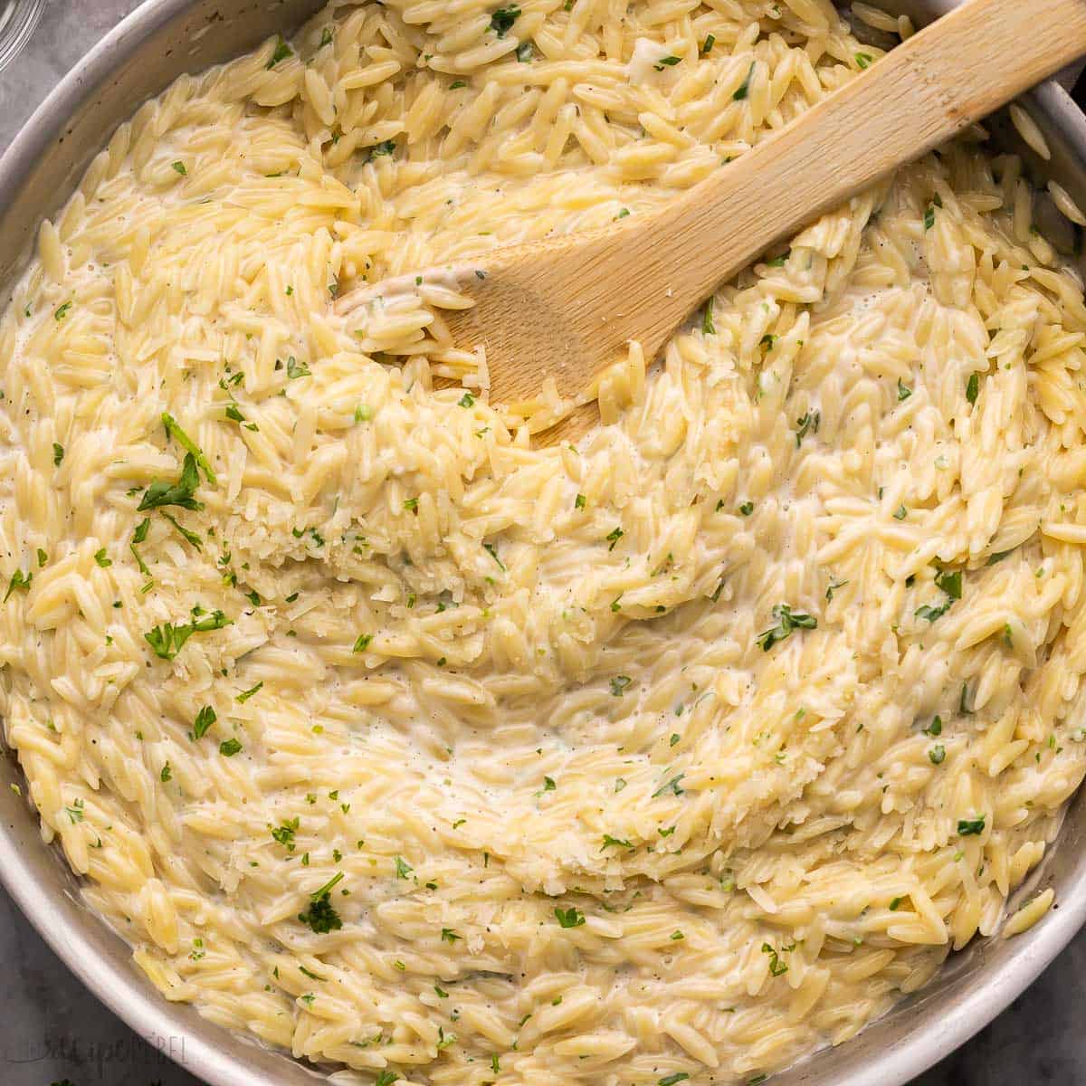 creamy-cavatappi-pasta-the-recipe-rebel-video