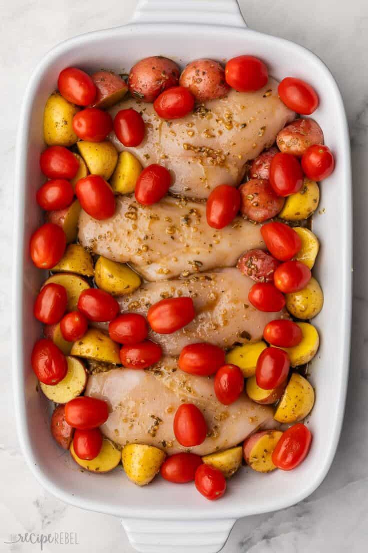 chicken breasts, potatoes and tomatoes in large white baking dish.