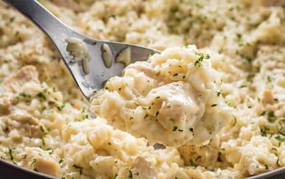 close up of creamy chicken and rice