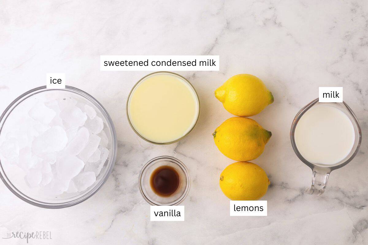 ingredients needed for frozen lemonade in bowls.