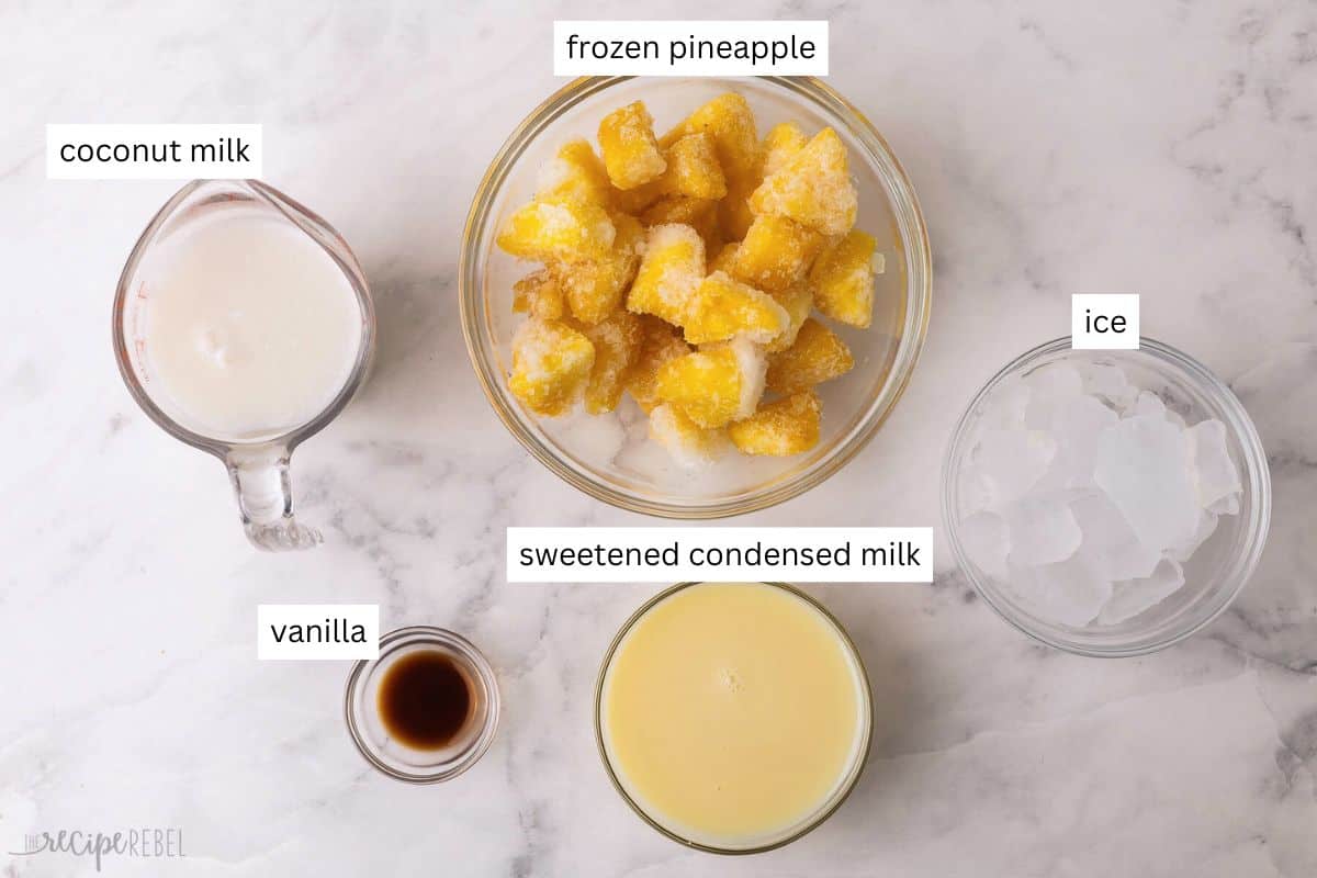 ingredients needed for pina colada slushy in bowls.