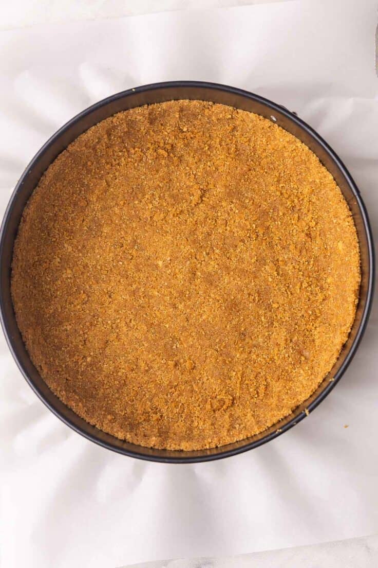 a cheesecake pan with a pressed in graham cracker crumb crust.